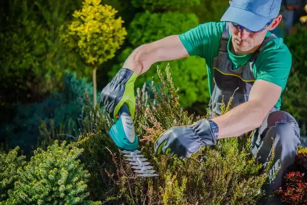 landscaping services Whitinsville